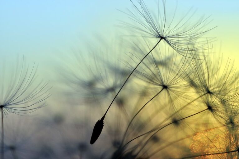 low_bg3