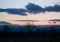 amir-matin-pour-r9KjSivKRt4-unsplash